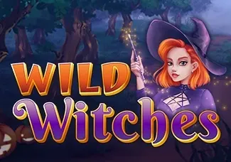 Wild Witches screenshot